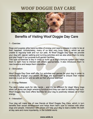 Why use Woof Doggie Day Care