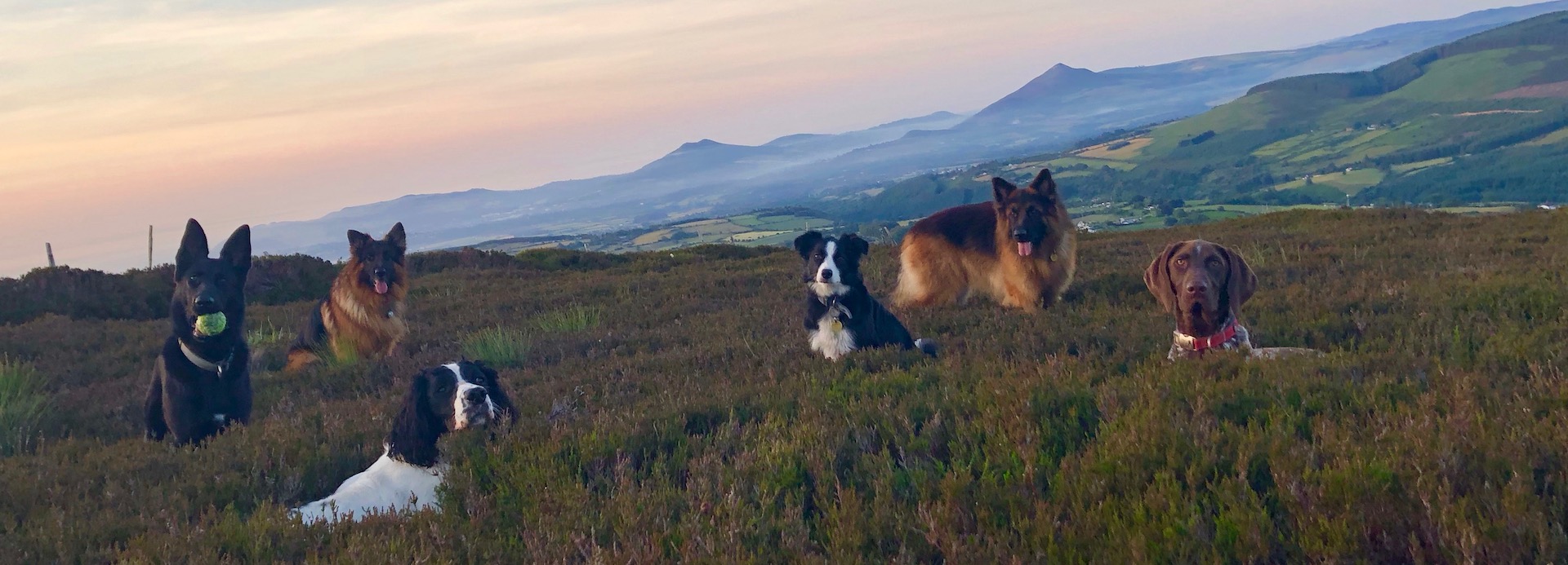 Gang mountain top early morning